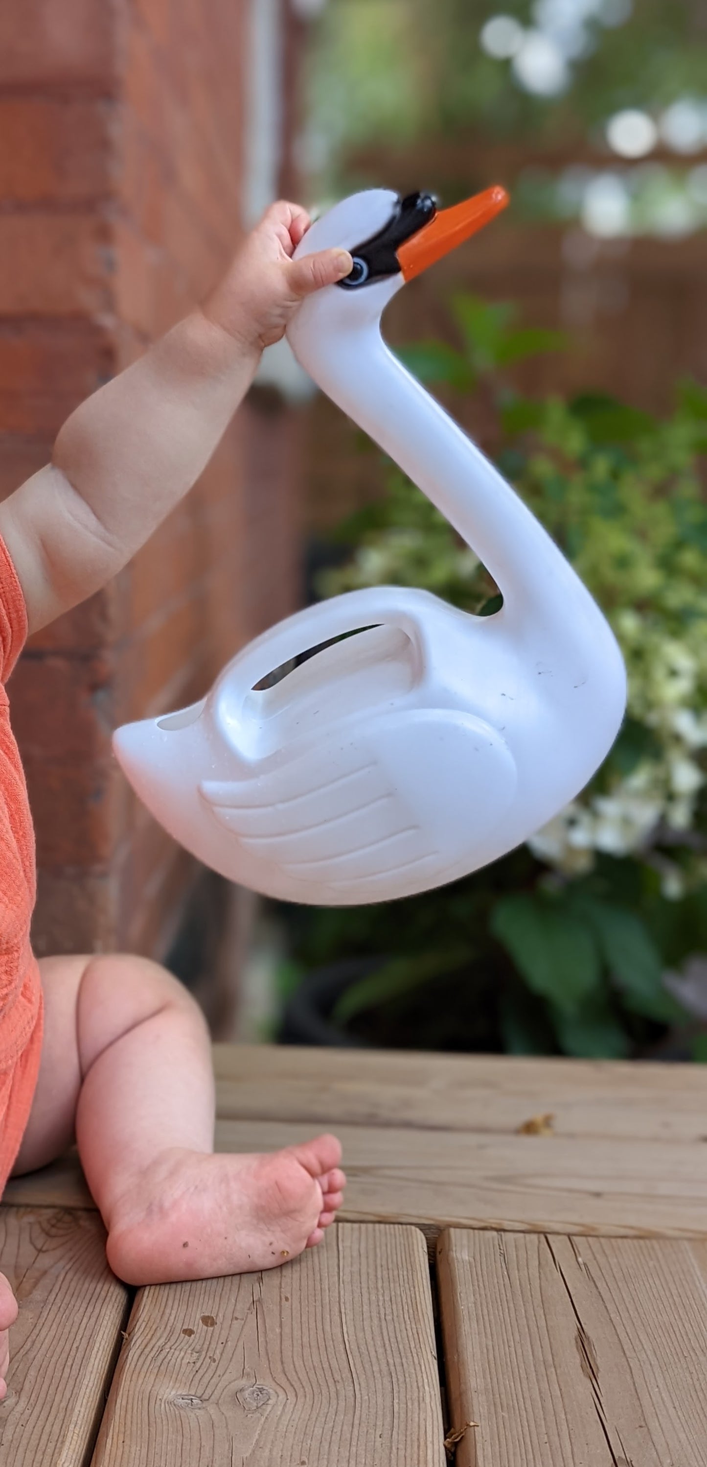 Sweetest Swan Watering Can